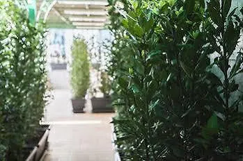 Hotel Hotel Ercolano