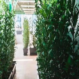 Hotel Ercolano Hotel Ercolano